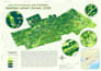 create a custom map illustration and vector map design